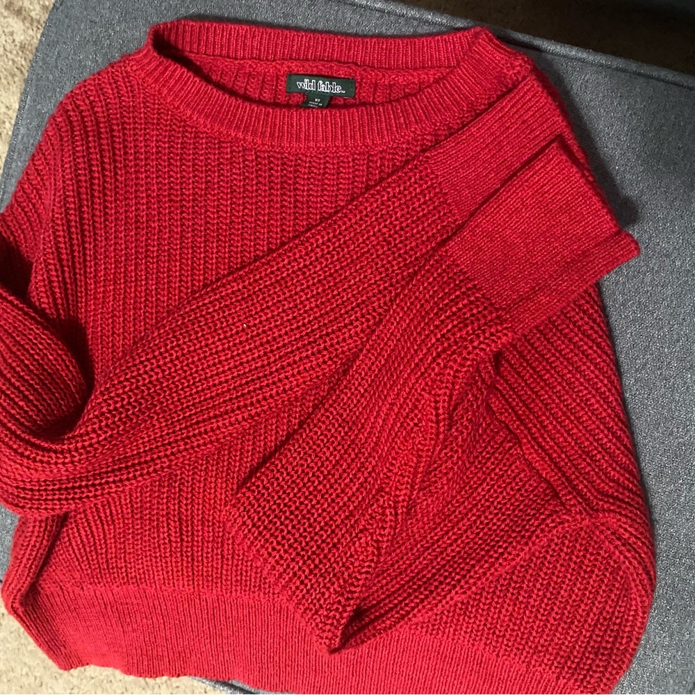 Wild Fable crop knit sweater
